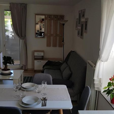 Koradinovi - Pod Vrtom Apartment Vipava Bagian luar foto